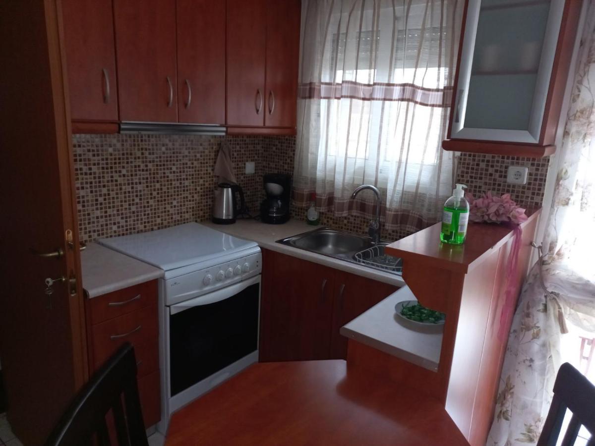 Ιάνθη Studio Apartment Karditsa Exterior photo